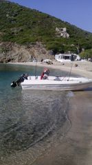 Nireus 2008