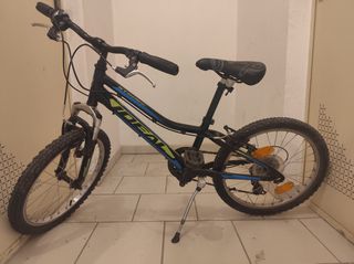All - Mountain Ideal 2023 Strobe 20"