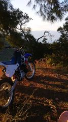 Yamaha WR 250 1996 Ζ-thumb-1