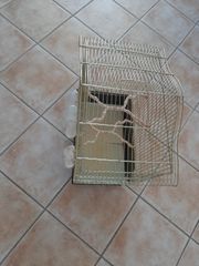 ΜΕΓΑΛΟ ΚΛΟΥΒΙ