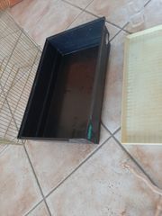 ΜΕΓΑΛΟ ΚΛΟΥΒΙ-thumb-4