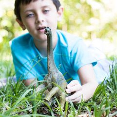 Schleich - Dinosaurs - Brachiosaurus (14581)-thumb-2