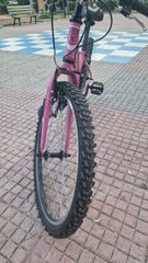 All - Mountain Sector 2022 spin