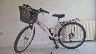 City Bicycle Orient 2020