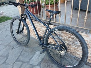 Downhill - Enduro - Trail Specialized 2024