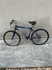 Πόλης Carrera 2020