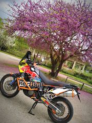 KTM 950 Adventure 2006-thumb-1