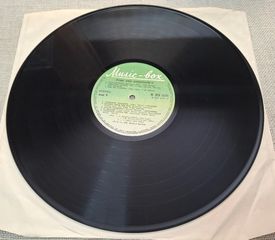 Punk And Disorderly LP-thumb-2