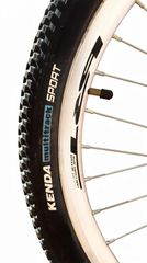 All - Mountain Ballistic 2022 Berg 24”-thumb-3