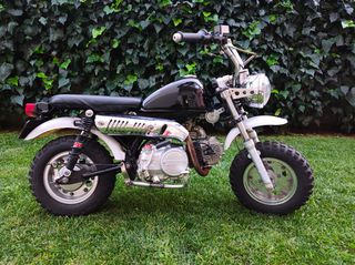Honda Z 50 1988 JC50-Q7