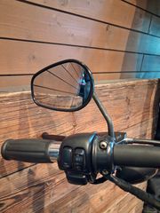Harley Davidson XL 883 N Sportster IRON 2010-thumb-17