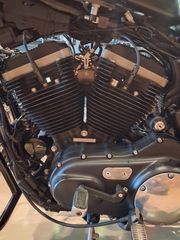 Harley Davidson XL 883 N Sportster IRON 2010-thumb-20