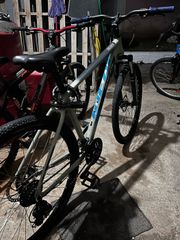 All - Mountain Ideal 2021 freeder-thumb-1