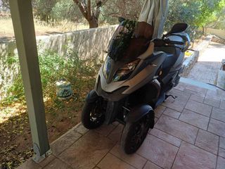Quadro QV3 2019