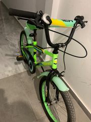 BMX Orient 2023 Tiger
