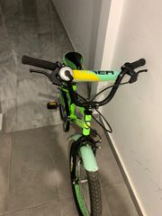 BMX Orient 2023 Tiger-thumb-6
