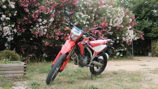 Honda CRF 300 2022