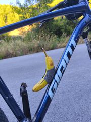 All - Mountain Giant 2022 talon 5