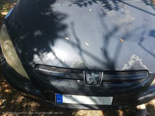 Peugeot 307 2002-thumb-5