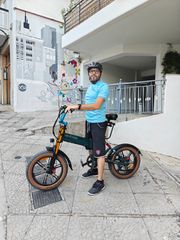 Fat Bikes Fiido 2026 M1Pro
