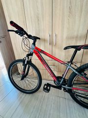 All - Mountain Carrera 2021 Carrera M6 2000 MTB-thumb-7