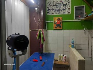 PET SHOP*GROOMING-thumb-3
