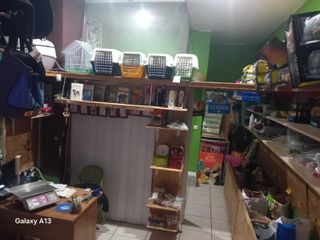 PET SHOP*GROOMING-thumb-4