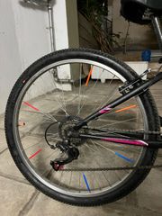 All - Mountain Orient 2020 Snake-thumb-1