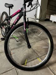 All - Mountain Orient 2020 Snake-thumb-2