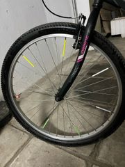 All - Mountain Orient 2020 Snake-thumb-4