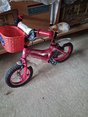 BMX 2020 angel-thumb-1