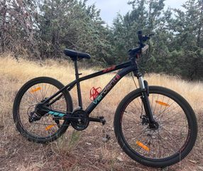All - Mountain 2025 LT 300-thumb-3