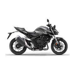 Honda CB 1000 2026 HORNET Mat Iridium Gray Metallic