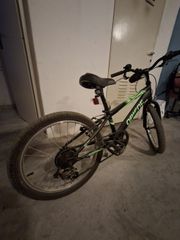 All - Mountain Orient 2022 Snake-thumb-2
