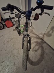 All - Mountain Orient 2022 Snake-thumb-3