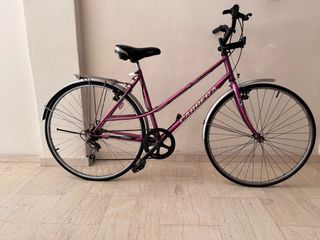 Trekking Carrera 2019 TREKKING BIKE