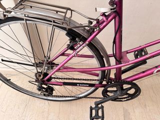 Trekking Carrera 2019 TREKKING BIKE-thumb-2