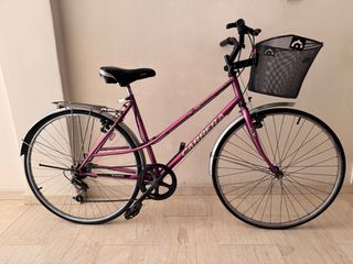 Trekking Carrera 2019 TREKKING BIKE-thumb-11