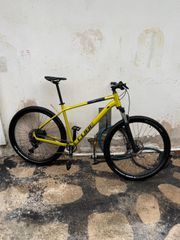 All - Mountain Cube 2024 Analog