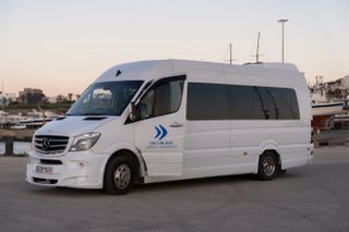 Mercedes-Benz 2016 516 BLUETEC