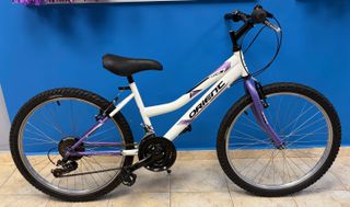 All - Mountain Orient 2024 Excel