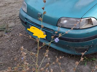 Fiat Punto 1995 Punto 75  20/04/1995