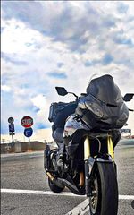 Triumph Tiger 1050 2010