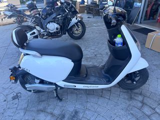 Daytona M9-L-50 2024-thumb-3