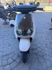 Daytona M9-L-50 2024-thumb-4