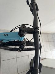 All - Mountain Trek 2021 MARLIN 5-thumb-11