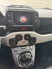 Fiat Panda 2022 CROSS 1.0 HYBRID-thumb-9