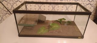 Terrarium για ερπετά και αμφίβια