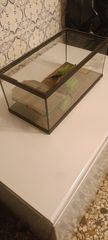 Terrarium για ερπετά και αμφίβια-thumb-1