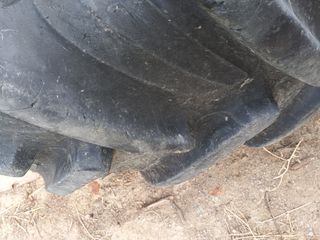 2 τεμάχια Taurus 16.9 R28-thumb-4